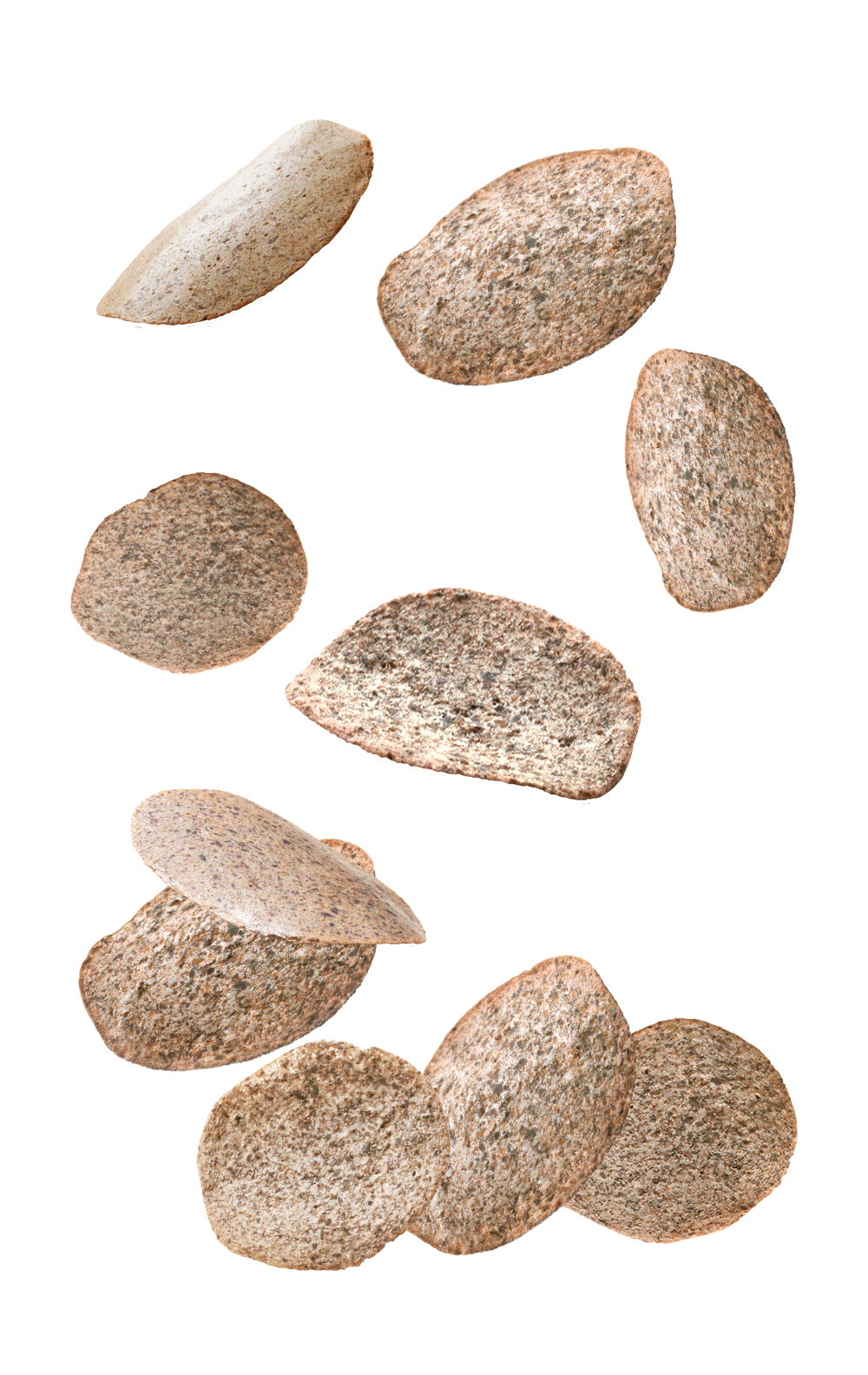 chip1