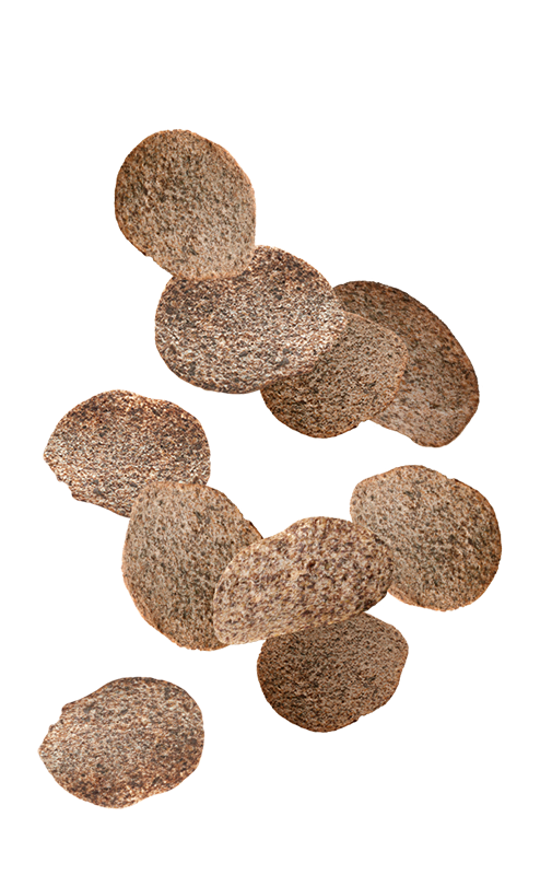 chip2