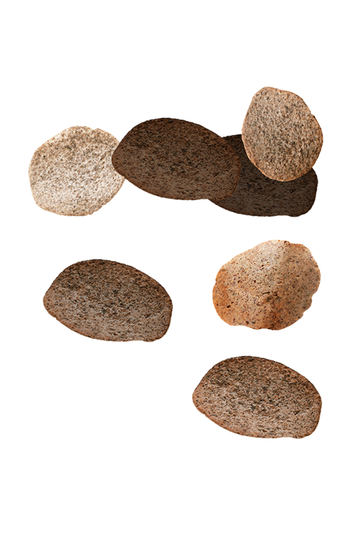 chip3