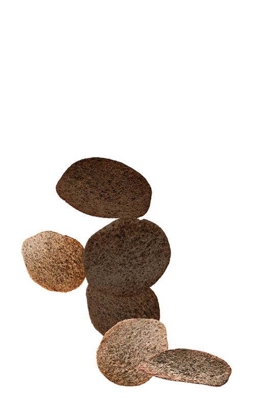 chip4